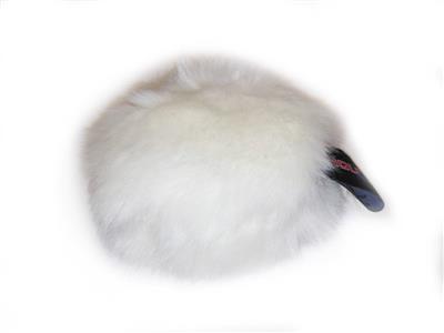 Aïkiou Squeak Dog Toy Display 15 Pc Plush Squeaky Dog Toy Display Soft Faux Fur