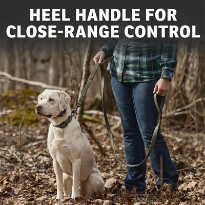 SportDOG Brand® Rugged Utility 6-Foot Lead