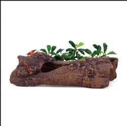 aquavitro Ceramic Hides Aquatic Ornament L1, 1ea/One Size