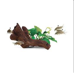 aquavitro Ceramic Hides Aquatic Ornament B2, 1ea/One Size