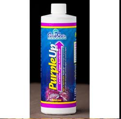 CaribSea PurpleUp Coralline Algae Accelerator 1ea/8 floz.