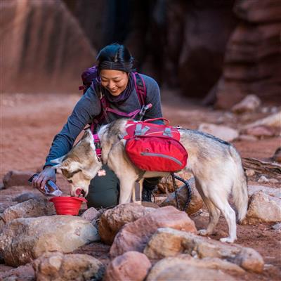 Baxter Backpack