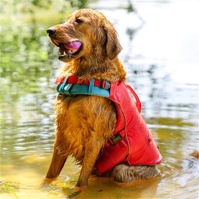 Surf N Turf Dog Life Jacket