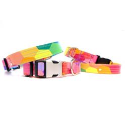 Prism Laminated Cotton Dog Collar