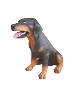 Rottweiler Small