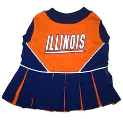 Illinois Cheerleader Dog Dress