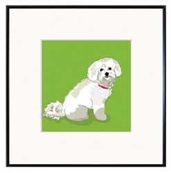 Framed Print: Bichon #2:
