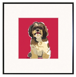 Framed Print: Shih Tzu Sitting