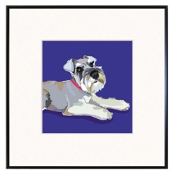 Framed Print: Schnauzer, Floppy Ears #2