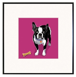 Framed Print: Boston Terrier with Bone