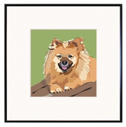 Framed Print: Pomeranian #2