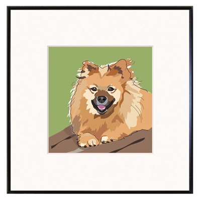 Framed Print: Pomeranian #2