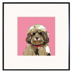 Framed Print: Cockapoo