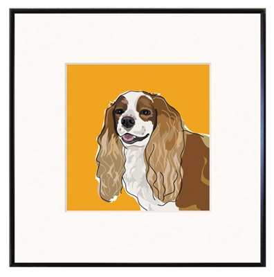 Framed Print: Cavalier Smiling