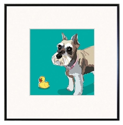 Framed Print: Schnauzer, Cropped Ears