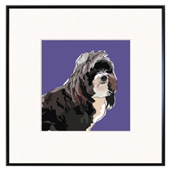 Framed Print: Havanese