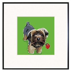 Framed Print: Yorkshire Terrier with Rose