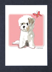 Maltese with Butterfly - Grrreen Boxed Note Cards