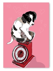 Congratulations - Puppy on Scale