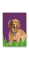 Vizsla - Fridge Magnet
