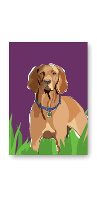 Vizsla - Fridge Magnet