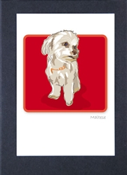 Maltese Sitting - Grrreen Boxed Note Cards
