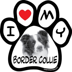 Paw Face Magnets - Border Collie