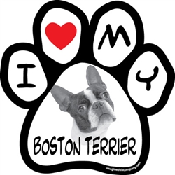 Paw Face Magnets - Boston Terrier