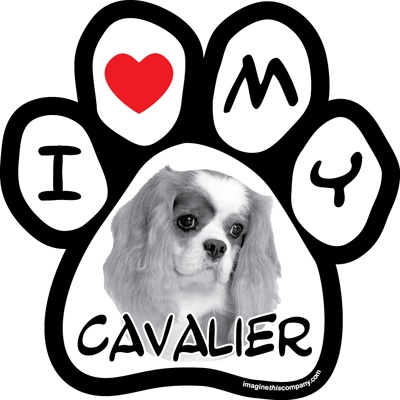 Paw Face Magnets - Cavalier