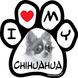 Paw Face Magnets - Chihuahua
