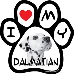 Paw Face Magnets - Dalmatian