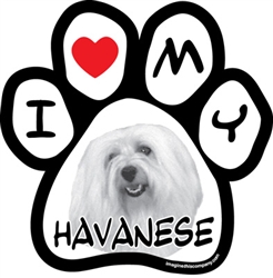 Paw Face Magnets - Havanese