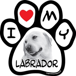 Paw Face Magnets - Labrador