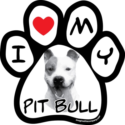 Paw Face Magnets - Pit Bull