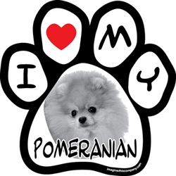 Paw Face Magnets - Pomeranian