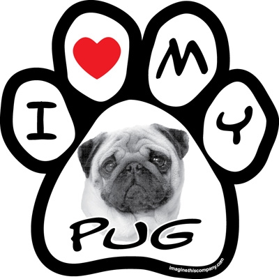 Paw Face Magnets - Pug
