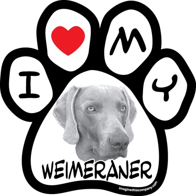 Paw Face Magnets - Weimeraner