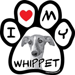 Paw Face Magnets - Whippet