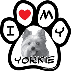 Paw Face Magnets - Yorkie