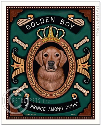 Golden Boy (Golden Retriever) A Prince Among Dogs