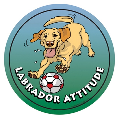 Labrador - Attitude Magnets Collection