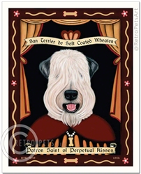San Terrier de Soft Coated Wheaten (Wheaten Terrier) Patron Saint of Perpetual Kisses – Show Cut