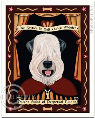 San Terrier de Soft Coated Wheaten (Wheaten Terrier) Patron Saint of Perpetual Kisses – Show Cut