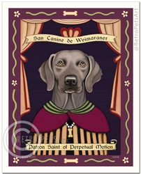 Weimaraner - Patron Saint of Perpetual Motion - Amber eyes