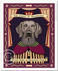Weimaraner - Patron Saint of Perpetual Motion - Lt. Green eyes