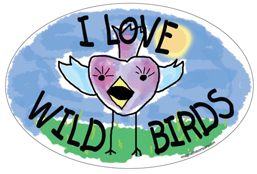 I Love Wild Birds Magnet