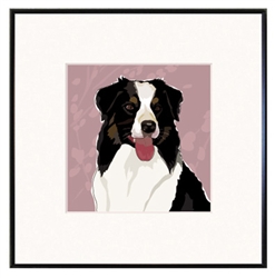 Framed Print: Aussy Shepherd