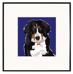 Framed Print: Bernese Mt. Dog #2:
