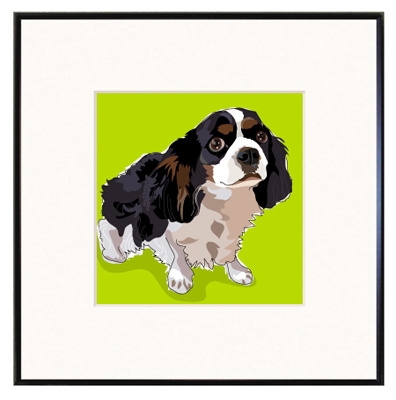 Framed Print: Cavalier, Tri #2