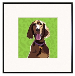 Framed Print: Irish Setter